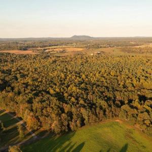 Photo #9 of SHELBY RD, ROCHELLE, VA 67.0 acres
