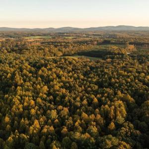Photo #10 of SHELBY RD, ROCHELLE, VA 67.0 acres