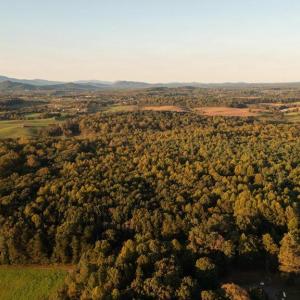 Photo #13 of SHELBY RD, ROCHELLE, VA 67.0 acres