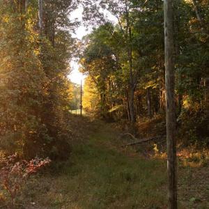Photo #14 of SHELBY RD, ROCHELLE, VA 67.0 acres