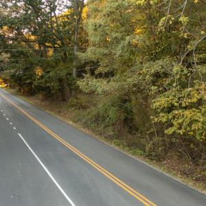 Photo #16 of SHELBY RD, ROCHELLE, VA 67.0 acres