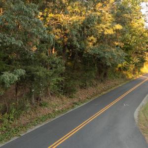 Photo #17 of SHELBY RD, ROCHELLE, VA 67.0 acres