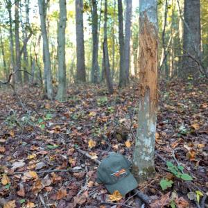 Photo #23 of SHELBY RD, ROCHELLE, VA 67.0 acres
