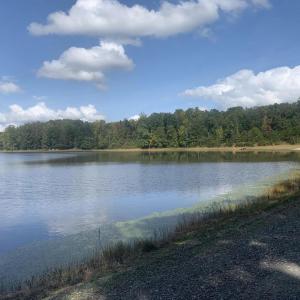 Photo #2 of LAKE RUTH ANN, LOUISA, VA 3.1 acres