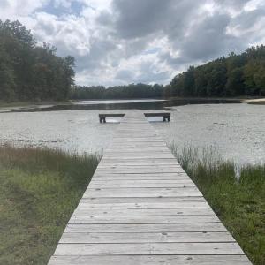Photo #3 of LAKE RUTH ANN, LOUISA, VA 3.1 acres