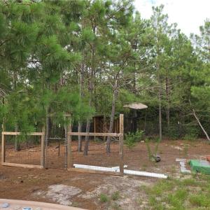 Photo #11 of 341 Squires Farm, White Oak, NC 9.7 acres