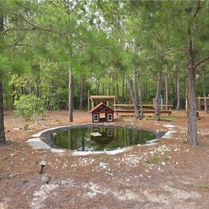 Photo #9 of 341 Squires Farm, White Oak, NC 9.7 acres
