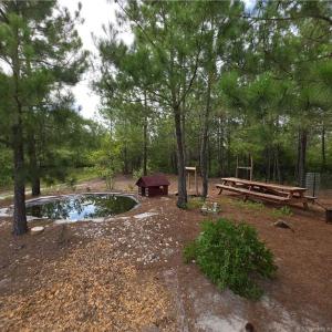 Photo #10 of 341 Squires Farm, White Oak, NC 9.7 acres