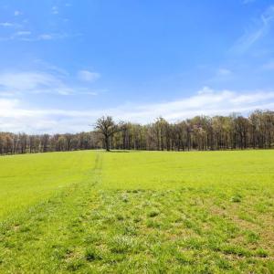Photo #7 of ATOKA RD, MARSHALL, VA 162.6 acres