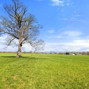 Photo #8 of ATOKA RD, MARSHALL, VA 162.6 acres