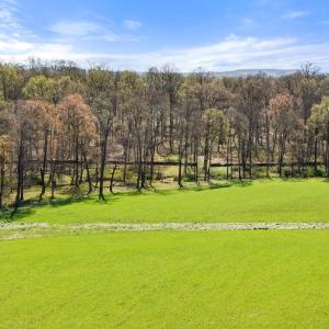 Photo #10 of ATOKA RD, MARSHALL, VA 162.6 acres