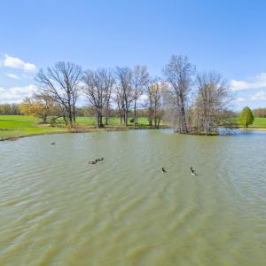 Photo #17 of ATOKA RD, MARSHALL, VA 162.6 acres