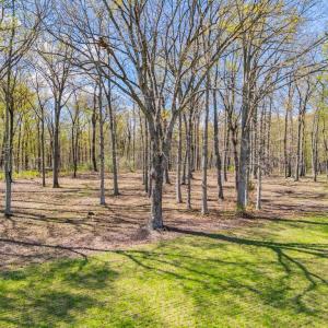 Photo #26 of ATOKA RD, MARSHALL, VA 162.6 acres