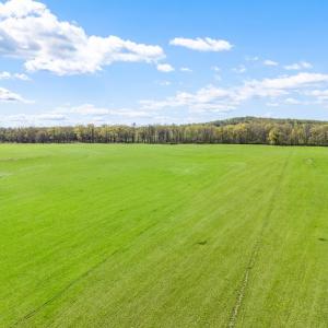 Photo #21 of ATOKA RD, MARSHALL, VA 162.6 acres