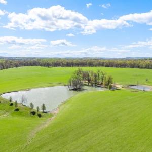 Photo #23 of ATOKA RD, MARSHALL, VA 162.6 acres