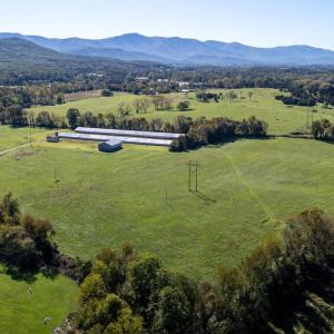 Photo #5 of VAUGHN SUMMIT RD., LURAY, VA 28.8 acres