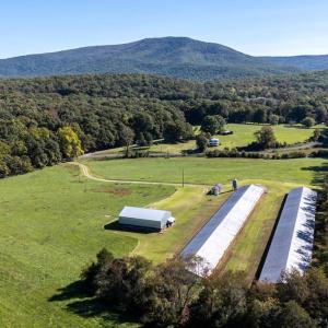 Photo #17 of VAUGHN SUMMIT RD., LURAY, VA 28.8 acres