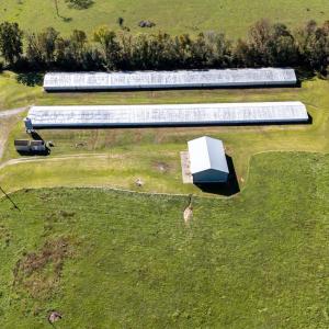 Photo #20 of VAUGHN SUMMIT RD., LURAY, VA 28.8 acres