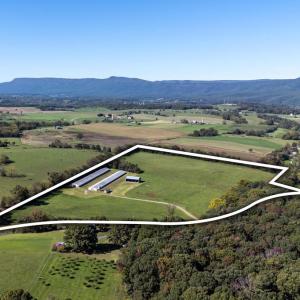 Photo #3 of VAUGHN SUMMIT RD., LURAY, VA 28.8 acres