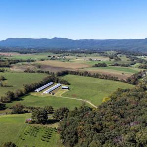 Photo #4 of VAUGHN SUMMIT RD., LURAY, VA 28.8 acres