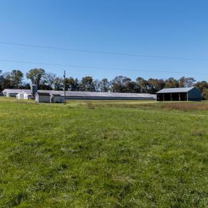 Photo #13 of VAUGHN SUMMIT RD., LURAY, VA 28.8 acres