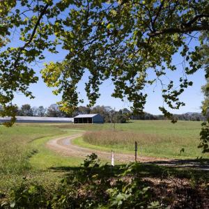 Photo #14 of VAUGHN SUMMIT RD., LURAY, VA 28.8 acres