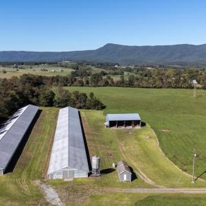 Photo #22 of VAUGHN SUMMIT RD., LURAY, VA 28.8 acres