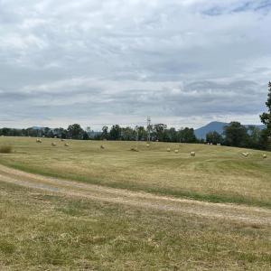 Photo #27 of VAUGHN SUMMIT RD., LURAY, VA 28.8 acres