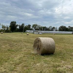 Photo #2 of VAUGHN SUMMIT RD., LURAY, VA 28.8 acres