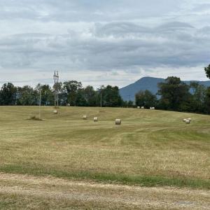 Photo #28 of VAUGHN SUMMIT RD., LURAY, VA 28.8 acres
