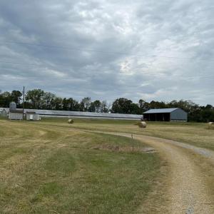 Photo #29 of VAUGHN SUMMIT RD., LURAY, VA 28.8 acres