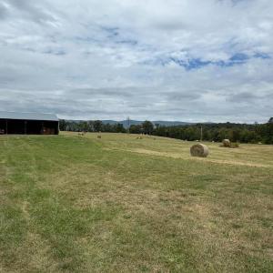 Photo #30 of VAUGHN SUMMIT RD., LURAY, VA 28.8 acres