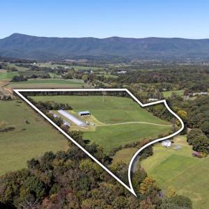 Photo #17 of VAUGHN SUMMIT RD., LURAY, VA 28.8 acres