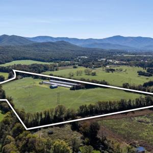 Photo #19 of VAUGHN SUMMIT RD., LURAY, VA 28.8 acres