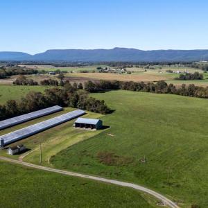 Photo #23 of VAUGHN SUMMIT RD., LURAY, VA 28.8 acres