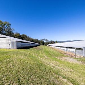 Photo #25 of VAUGHN SUMMIT RD., LURAY, VA 28.8 acres