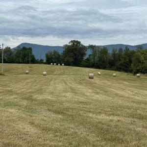 Photo #1 of VAUGHN SUMMIT RD., LURAY, VA 28.8 acres