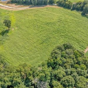 Photo #5 of Laia Hills (Lot 4), Siler City, NC 5.4 acres