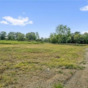 Photo #14 of Laia Hills (Lot 4), Siler City, NC 5.4 acres