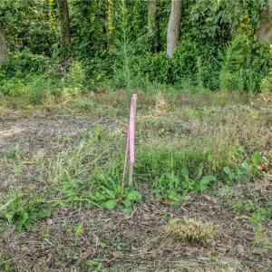Photo #18 of Laia Hills (Lot 4), Siler City, NC 5.4 acres
