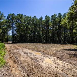 Photo #16 of TBD Balfour, Lumber Bridge, NC 12.5 acres