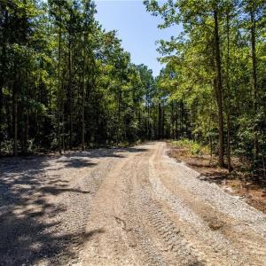 Photo #12 of TBD Balfour, Lumber Bridge, NC 12.5 acres