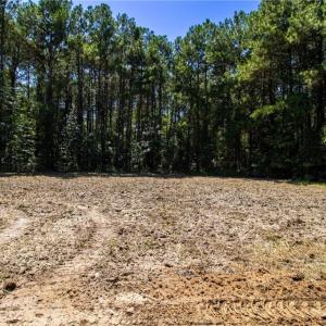 Photo #17 of TBD Balfour, Lumber Bridge, NC 12.5 acres