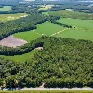 Photo #2 of TBD Balfour, Lumber Bridge, NC 12.5 acres