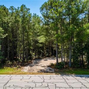 Photo #9 of TBD Balfour, Lumber Bridge, NC 12.5 acres