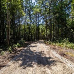 Photo #11 of TBD Balfour, Lumber Bridge, NC 12.5 acres
