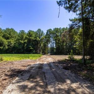 Photo #15 of TBD Balfour, Lumber Bridge, NC 12.5 acres