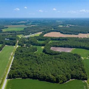 Photo #5 of TBD Balfour, Lumber Bridge, NC 12.5 acres