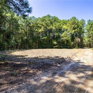 Photo #20 of TBD Balfour, Lumber Bridge, NC 12.5 acres