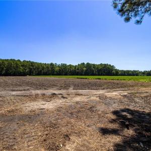 Photo #19 of TBD Balfour, Lumber Bridge, NC 12.5 acres